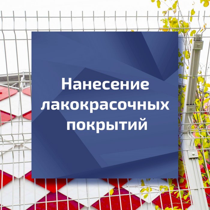 Нанесение  лакокрасочных  покрытий