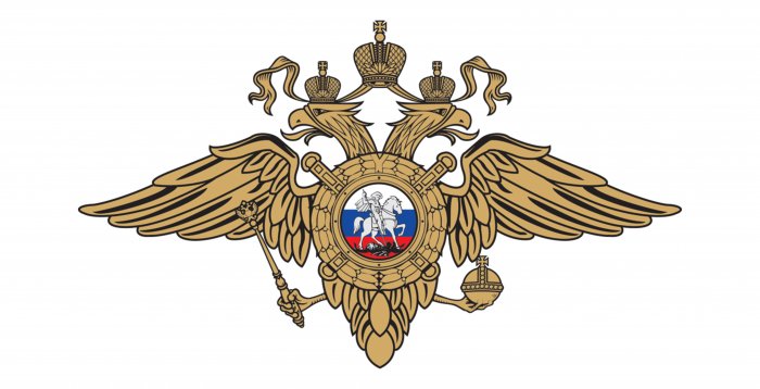 Министерство внутренних дел (МВД РФ) 