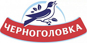 Компания «ЧЕРНОГОЛОВКА»
